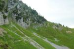 2014-07-05_Laengental-N-Hochweg (873). JPG